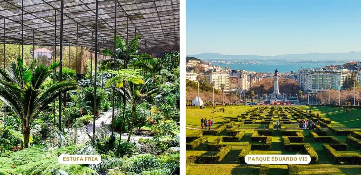 The iconic Parque Eduardo VII and its famous Estufa Fria greenhouse