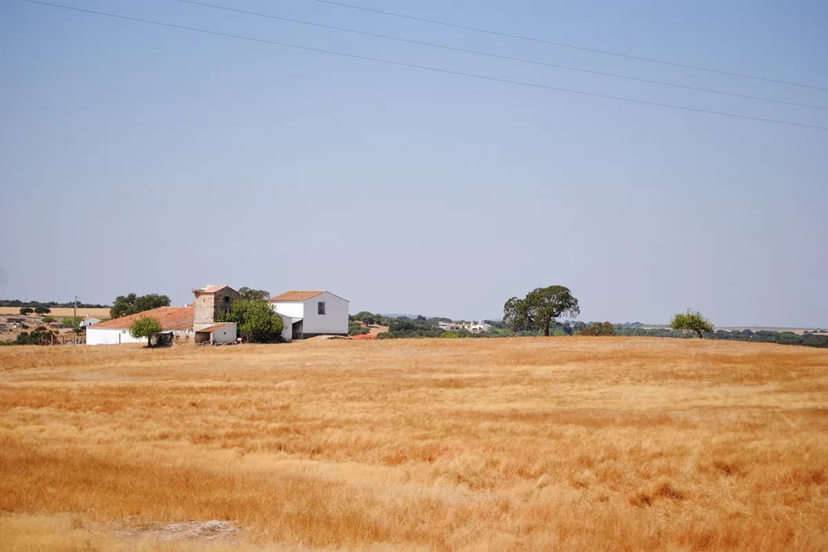 A country cottage surrounded by open fields in the Alentejo countryside