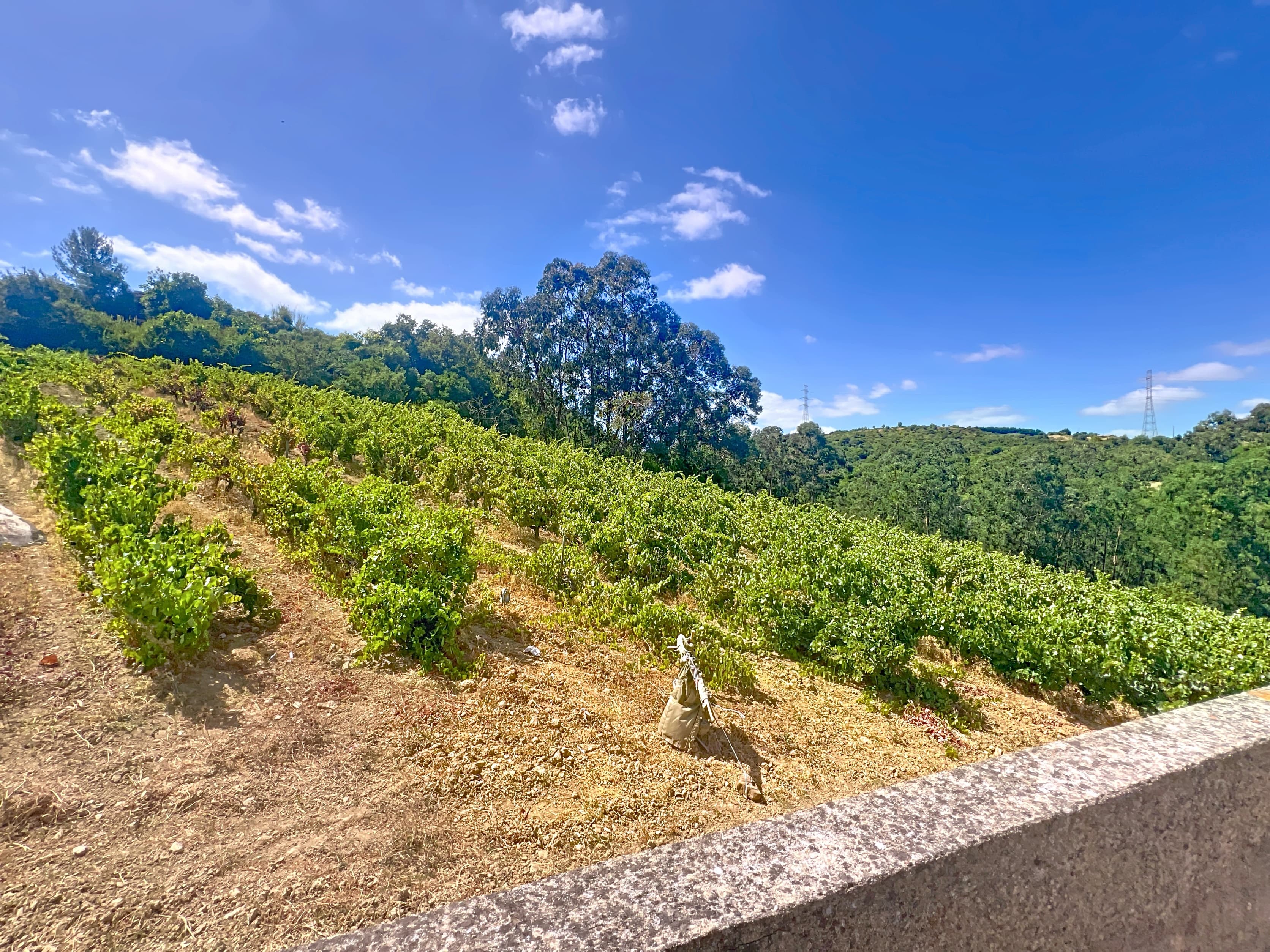 Featured property gallery image