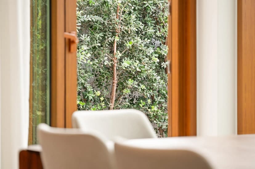 Move-In Ready Homes in Portugal