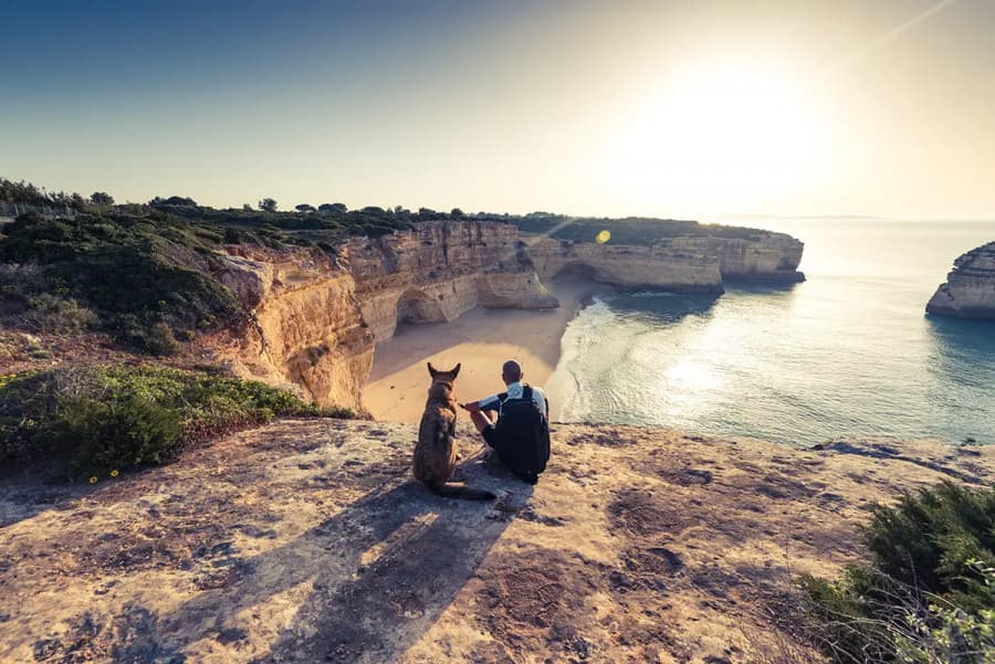 Moving to Portugal with Pets: A Comprehensive Guide for 2026