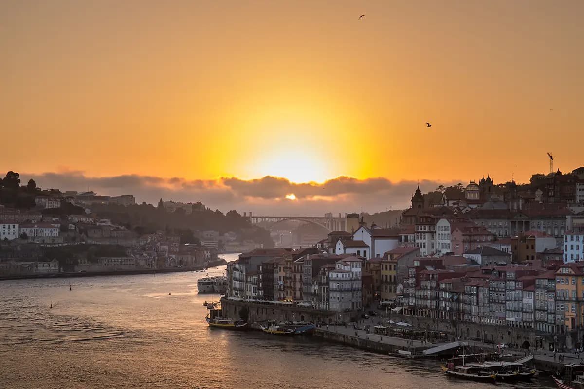 Properties in Foz do Douro: River & Coastal Living in Porto