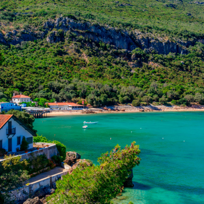 Portugal Homes Webinar: Golden Visa Investments in Portugal, still eligible for application now!