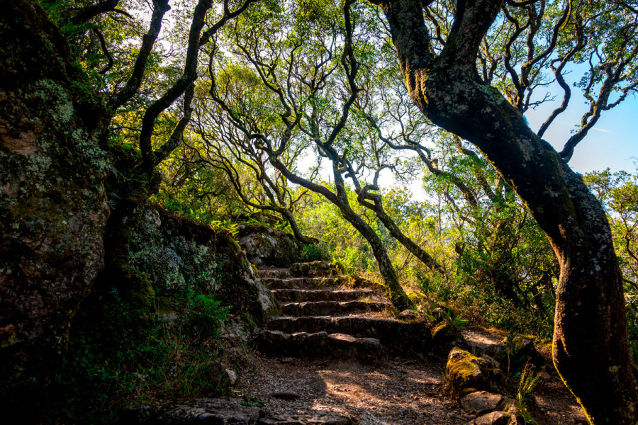 Portugal elected with Best Air Quality in Europe