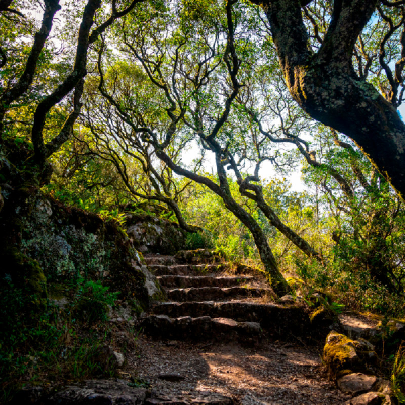 Portugal elected with Best Air Quality in Europe