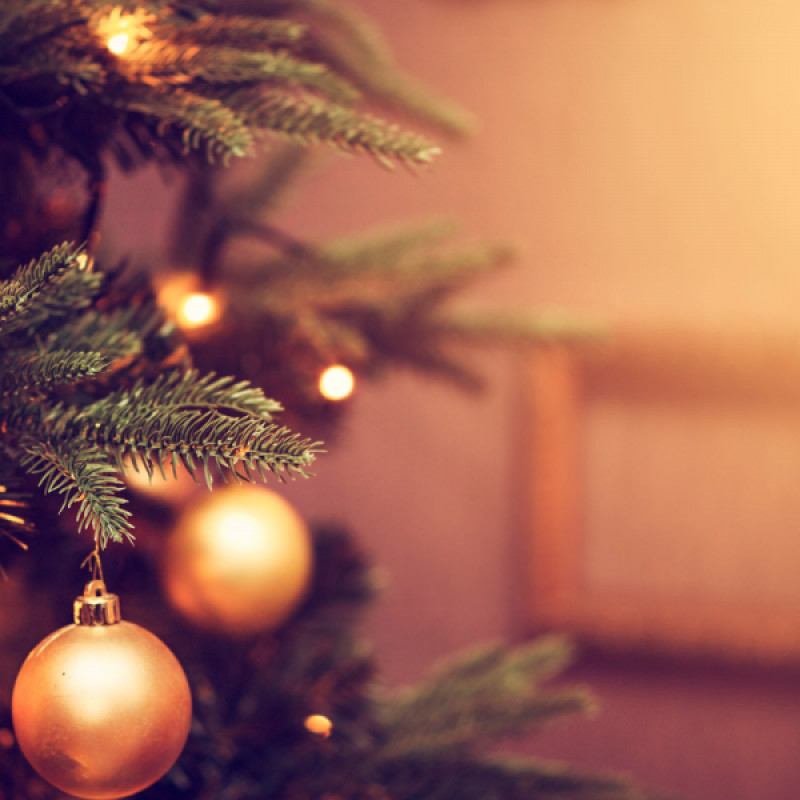 Portugal Homes Christmas Celebration