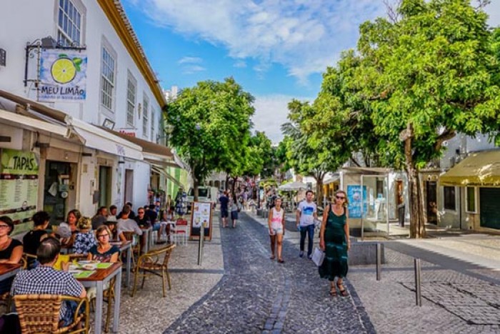 Portugal Homes - Portugal property experts features