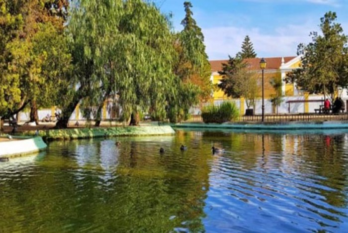 Portugal Homes - Portugal property experts features