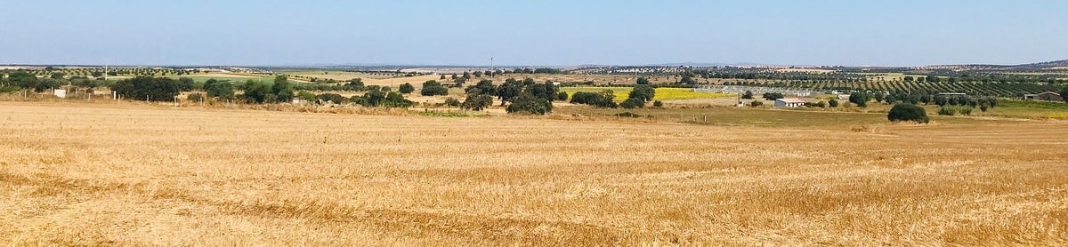 Propriedades em Beja