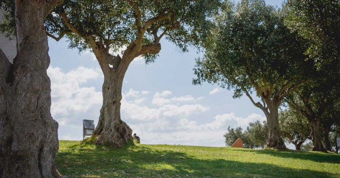 Portugal Homes - Portugal property experts features