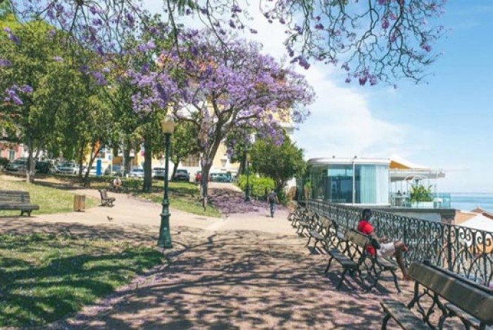 Portugal Homes - Portugal property experts features