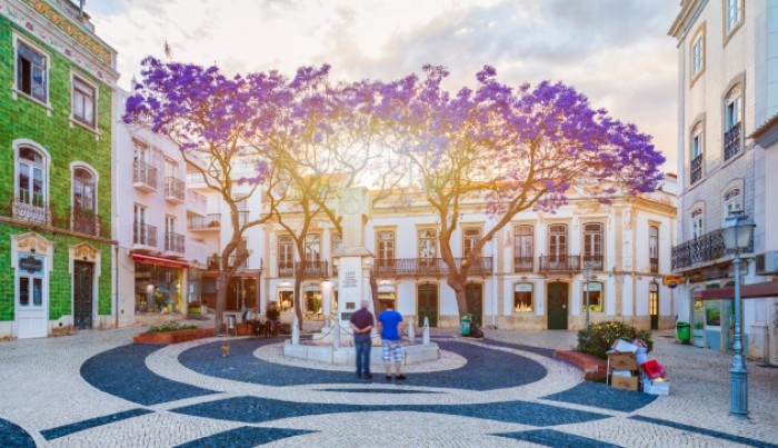 Portugal Homes - Portugal property experts features