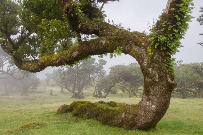Take a hike!  Portugal Home - Portugal propety experts