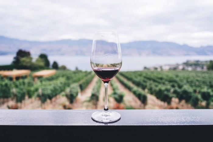 Taste the legendary wine Portugal Home - Portugal propety experts