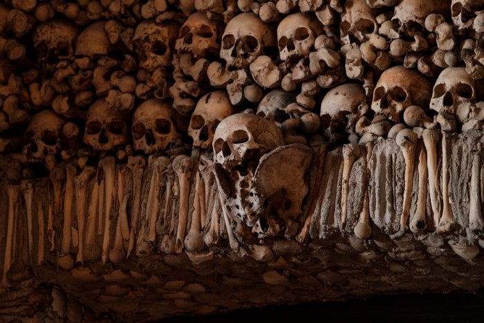 São Francisco Church and Chapel of Bones Portugal Home - Portugal propety experts