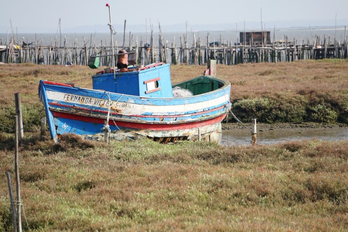 Explore Sado Estuary Nature Reserve Portugal Home - Portugal propety experts
