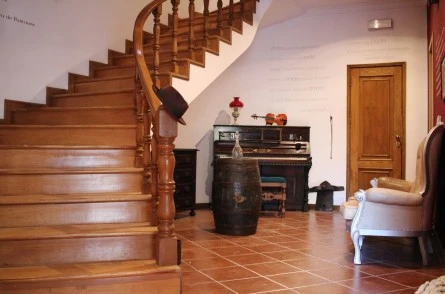 Rua da Paz 113 Port Wine Hostel, Property for sale in PW1188