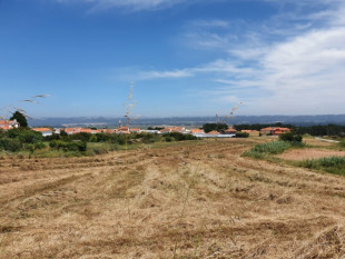 Land for construction in Salir do Porto, Property for sale in CR297