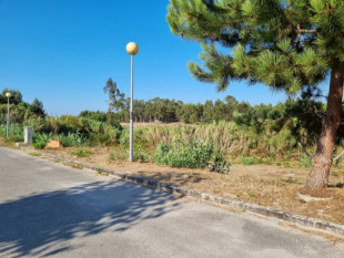 Plot between Óbidos and Caldas da Rainha, Property for sale in BL771
