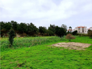 Land of 16.080m2 in Caldas da Rainha, Property for sale in BL520
