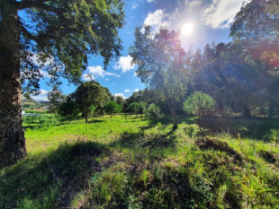 Land of 8.293m2 in Tornada - Caldas da Rainha, Property for sale in Caldas da Rainha, Leiria, BL764