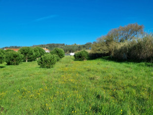 Land of 8.293m2 in Tornada - Caldas da Rainha, Property for sale in BL764