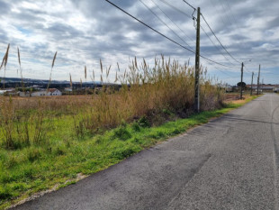 Land investment for 6 houses in Portugal, Property for sale in BL853