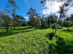 Land in Tornada - Caldas da Rainha, Property for sale in BL763