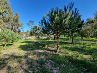 Land in Tornada - Caldas da Rainha, Property for sale in BL763