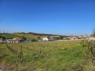 Land for construction of 7 houses with beautiful views!, Property for sale in BL883