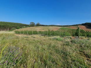 Land of 1200m2 in Bombarral with an approved project, Property for sale in BL897
