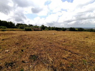 Land between Caldas da Rainha and Óbidos, Property for sale in BL916