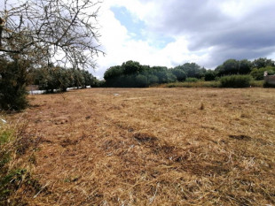 Land between Caldas da Rainha and Óbidos, Property for sale in BL916