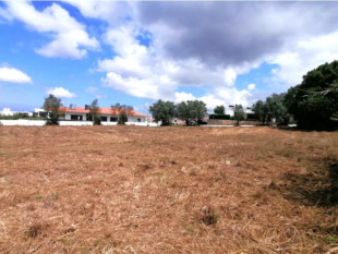 Land between Caldas da Rainha and Óbidos, Property for sale in BL916