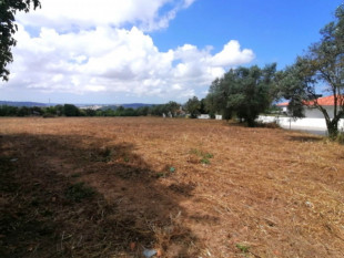 Land between Caldas da Rainha and Óbidos, Property for sale in BL916