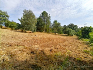 Land in Óbidos with great potential for an urban plan, Property for sale in BL938