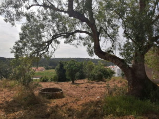 Land in Óbidos with great potential for an urban plan, Property for sale in BL938