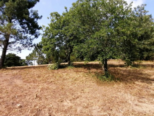 Land in Óbidos with great potential for an urban plan, Property for sale in BL938