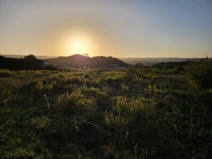 Land with approved project between Óbidos and Bombarral, Property for sale in BL953