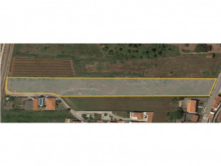Land with approved project between Óbidos and Bombarral, Property for sale in BL953