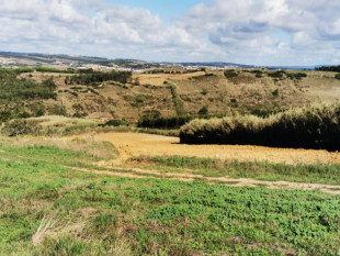 Land 4km from Lourinhã for a Tourist Project, Property for sale in BL974