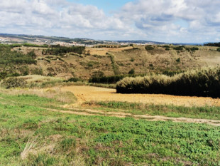 Land with wide views for a tourist project!, Property for sale in Lourinhã, Lisbon, BL974