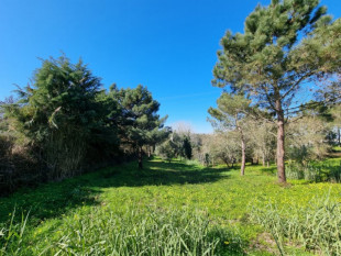 Plot on the Silver Coast - Carvalhal - with approved project, Property for sale in BL469