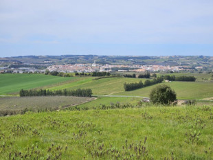 Terreno para construção de uma moradia, também com viabilidade para Projeto Turístico, Property for sale in Bombarral, Leiria, BL1092