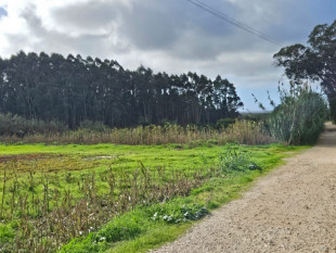 Land next to the entrance of the Bukubaki Eco resort, Property for sale in BL1195
