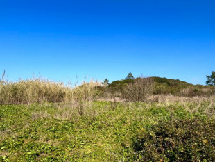 Urban land with 1150m2 in Serra do Bouro, very close to Salir do Porto, Property for sale in BL1201