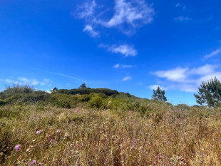 Urban land with 1150m2 in Serra do Bouro, very close to Salir do Porto, Property for sale in BL1201