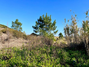 Urban land with 1150m2 in Serra do Bouro, very close to Salir do Porto, Property for sale in BL1201