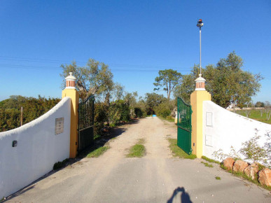 Rural Property With 5 Bedrooms, 7 Ha Of Land + A Project Approval To Build 6 Housing Units, Property for sale in PP3743