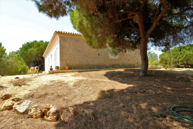 Peaceful Villa In Pereiras, Quarteira, Property for sale in PP4240